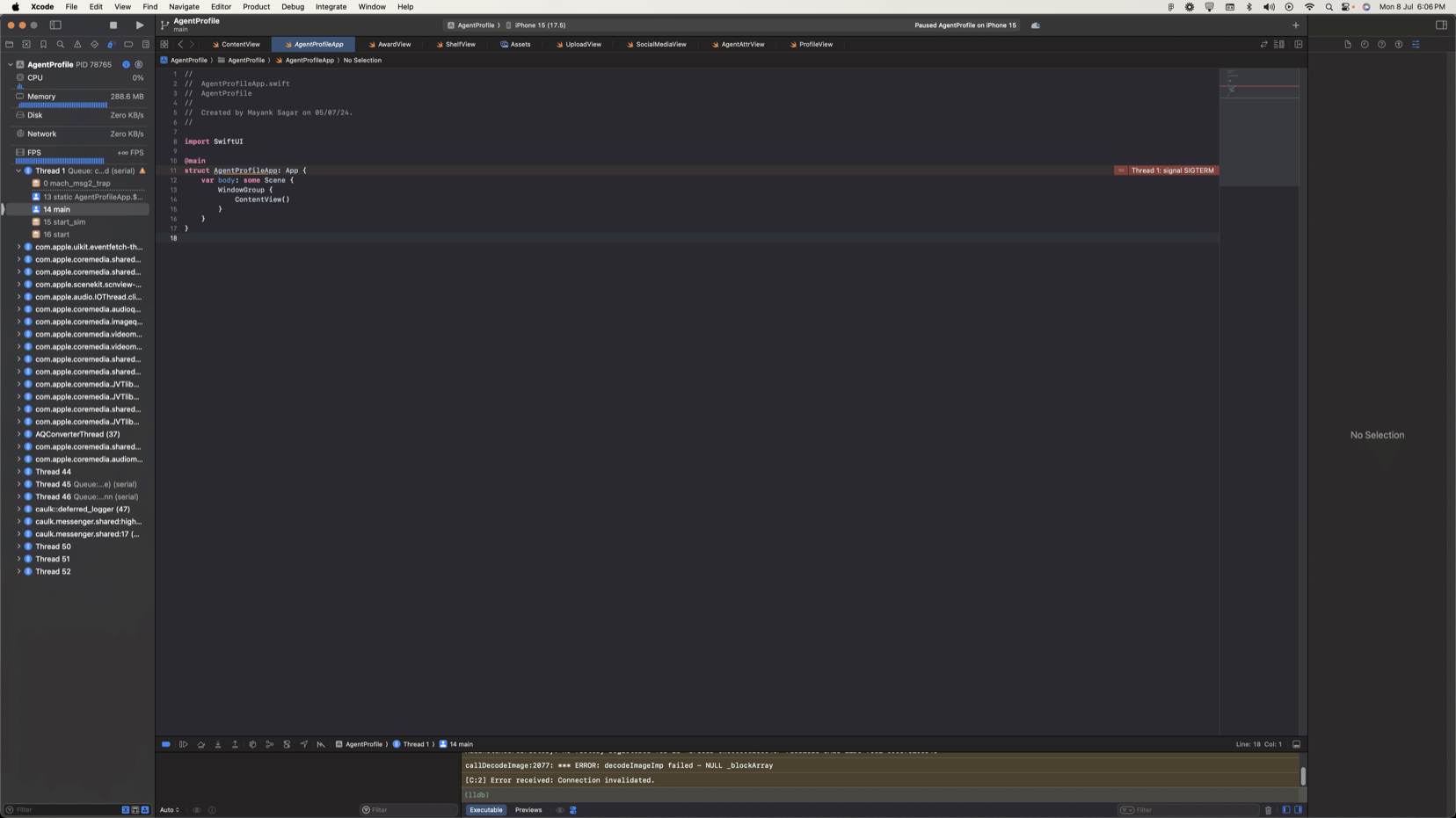A screenshot of Xcode's debugger after a crash, showing a "Thread 1: signal SIGTERM" error banner over a line of code, and a console message reading "callDecodeImage:2077: *** ERROR: decodeImageImp failed - NULL _blockArray"